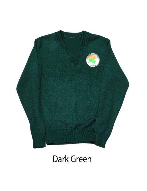 NSU V-Neck Sweater