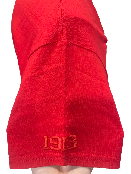 Delta Sigma Theta HU Embroidered Tee