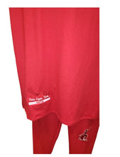 Load image into Gallery viewer, Delta Sigma Theta J-13 Lounge Set *Plus Sizes Available*
