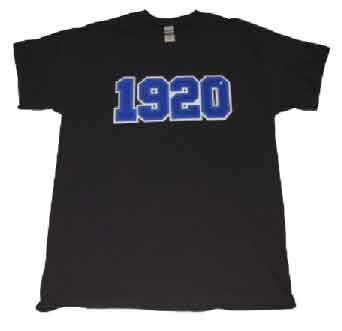 Zeta Phi Beta 1920 Embroidered Chenille Tee