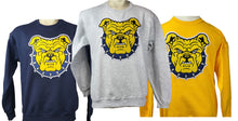 Load image into Gallery viewer, NC A&amp;T &quot;Spoiler Alert&quot; Chenille Crewneck Sweatshirt
