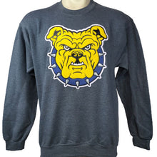 Load image into Gallery viewer, NC A&amp;T &quot;Spoiler Alert&quot; Chenille Crewneck Sweatshirt
