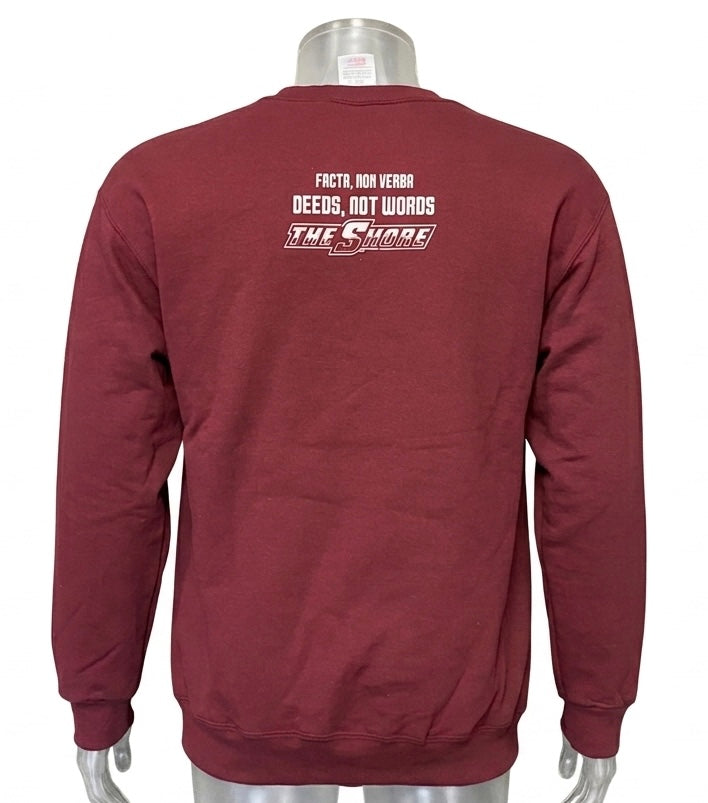 “University Alumni Hawk Pride Sweatshirt”
