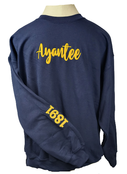 NC A&T 