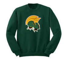 Load image into Gallery viewer, Norfolk State University B.P.E. Embroidered Chenille Crewneck Sweat
