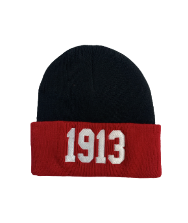 DST 1913 Beanie