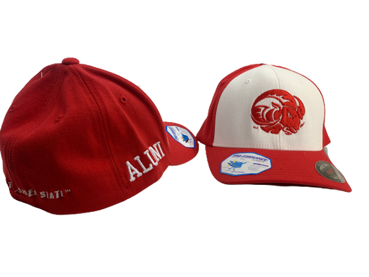 WSSU | Flexfit Cap