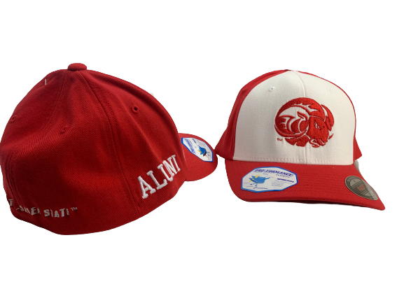 WSSU | Flexfit Cap